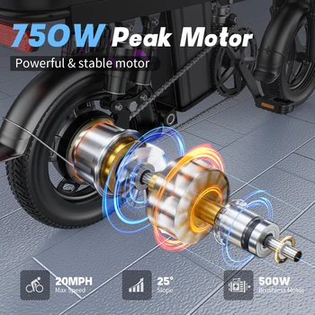 Electric Bike for Adults Teen-Folding Electric Bicycle 750W Peak Motor,20+MPH 35 Miles,Commuter Ebike 48V 15AH Removable Battery 2