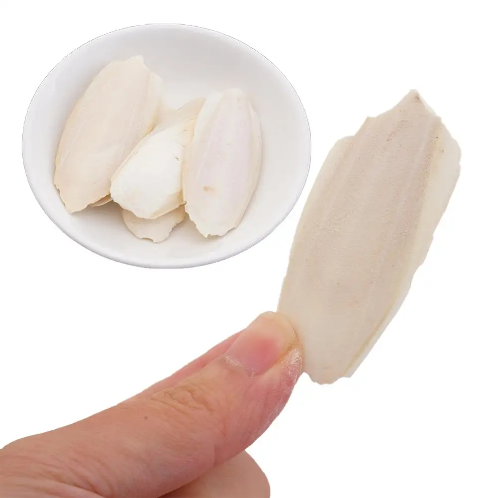 Parrot toy bird toy Cuttlefish bone For parrot Natural cuddle bone chew toys Chewing cuttlebone Easy to absorb Exercise pet's sensitivity 10Pcs