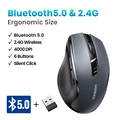 BT5.0 and 2.4G Black
