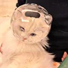 Cat Head Cover Portable Transparent Prevent Biting and Scratching Breathable Safety Travel Cat Carrier Bag Cats Pet Products 4