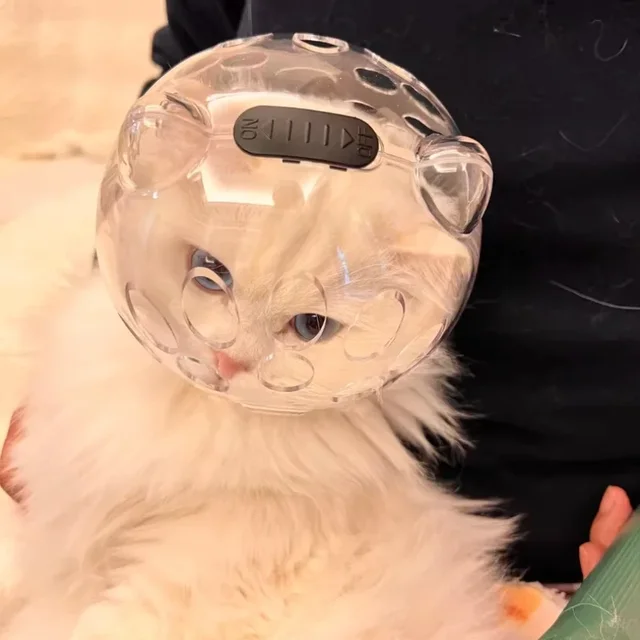 Cat Head Cover Portable Transparent Prevent Biting and Scratching Breathable Safety Travel Cat Carrier Bag Cats Pet Products 4