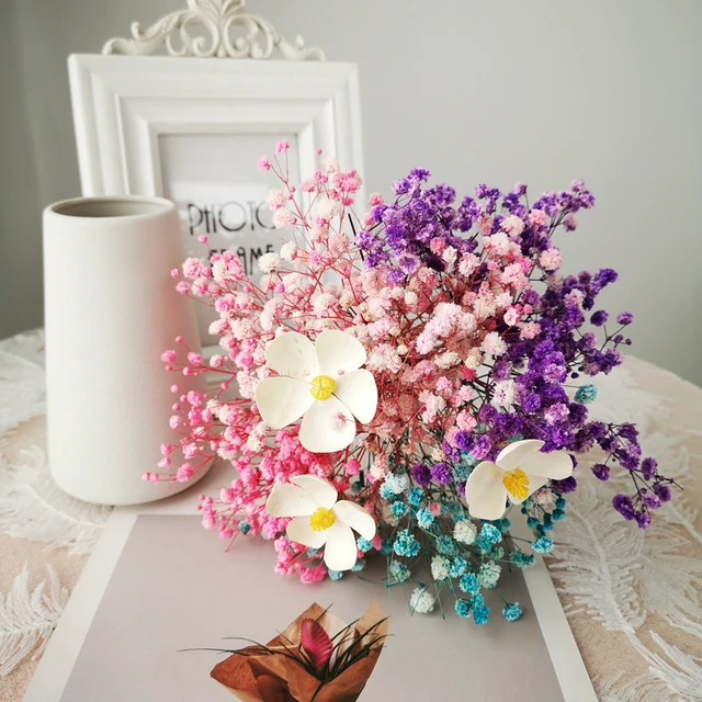Flores secas preservadas Gypsophila Paniculata flores naturales frescas de  aliento eterno regalo del Día de San Valentín Decoración de mesa del hogar  de boda - AliExpress
