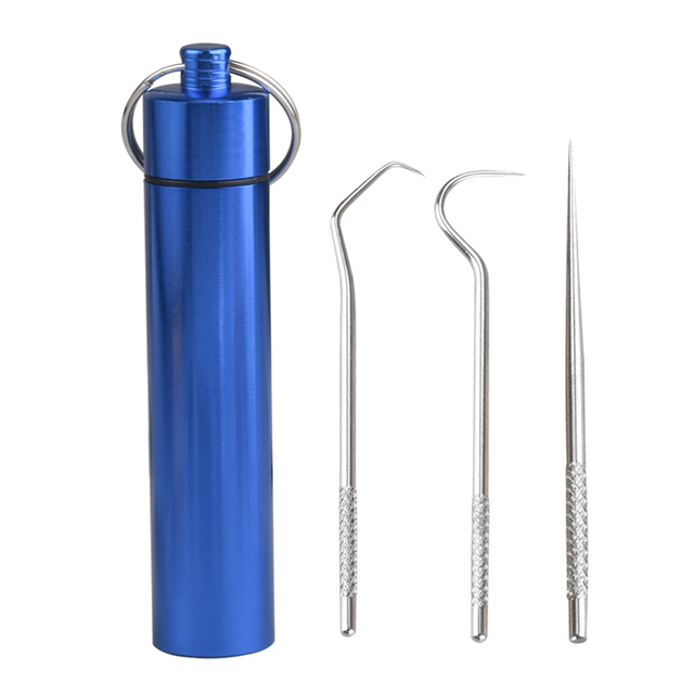 Toothpicks Pocket Set Stainless Steel Tooth Pick Sticks Fruit Fork Reusable Toothpick With Holder For Outdoor Camping