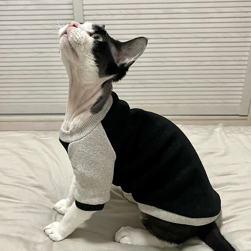 German Curly Cat Spring Autumn Hairless Cat Kitten Clothes Sphynx Cat