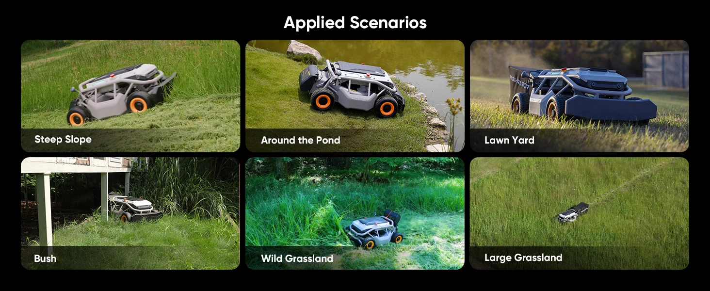 scenario