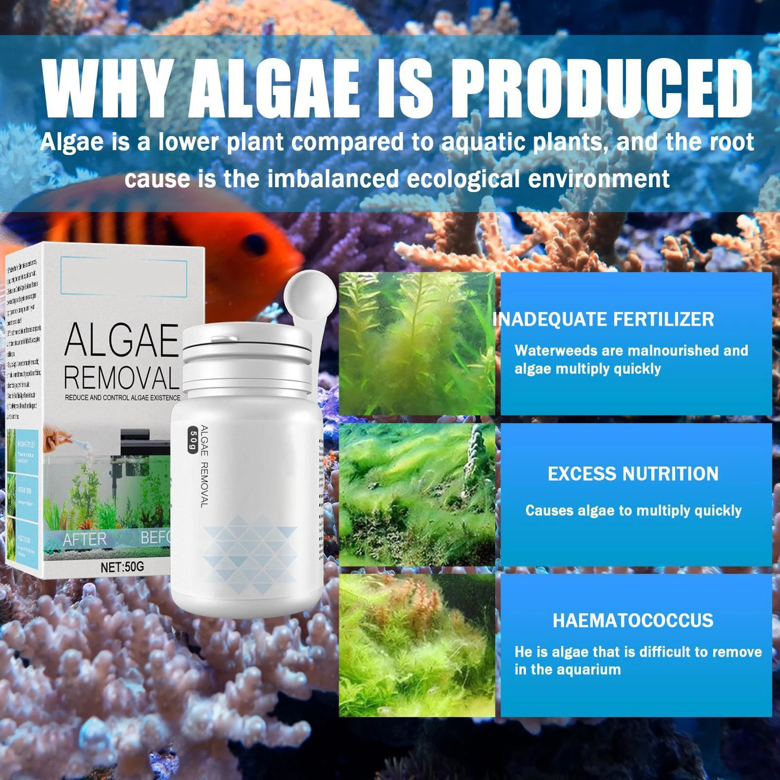 Algae Removal Potion Safe And Effective Tank Moss Remover Safe And Healthy Aquarium Fish Tank Cleaning Powder
