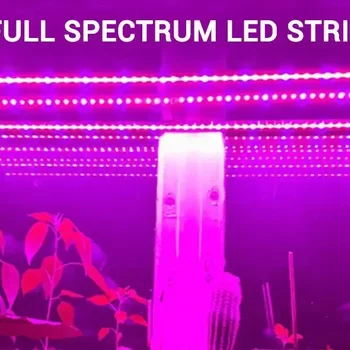 LED 성장 조명 풀 스펙트럼 식물 램프 5V USB 식물 조명 스트립, 식물 꽃 온실 텐트 수경 재배용 식물 램프, 1m, 2m, 3m