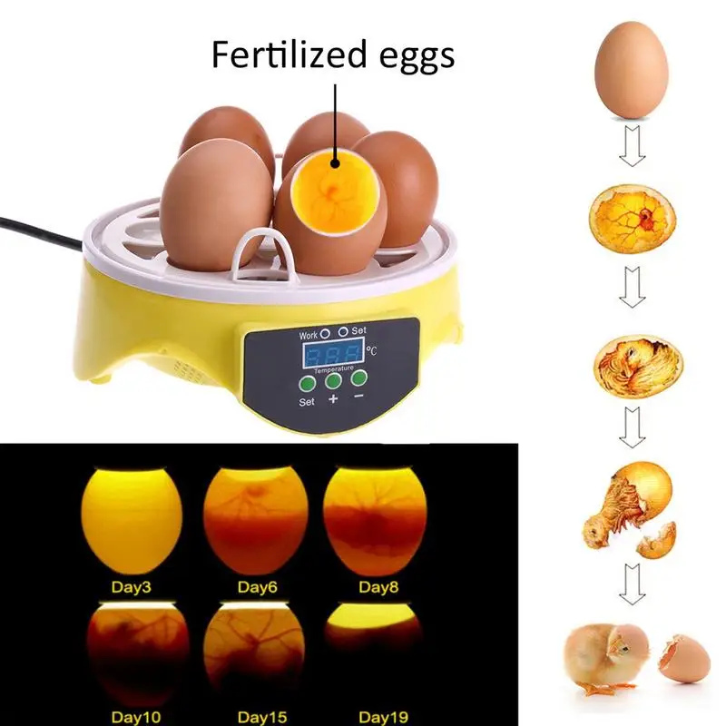  ڵ ̴  ť,    ,  ,  ݷ ť