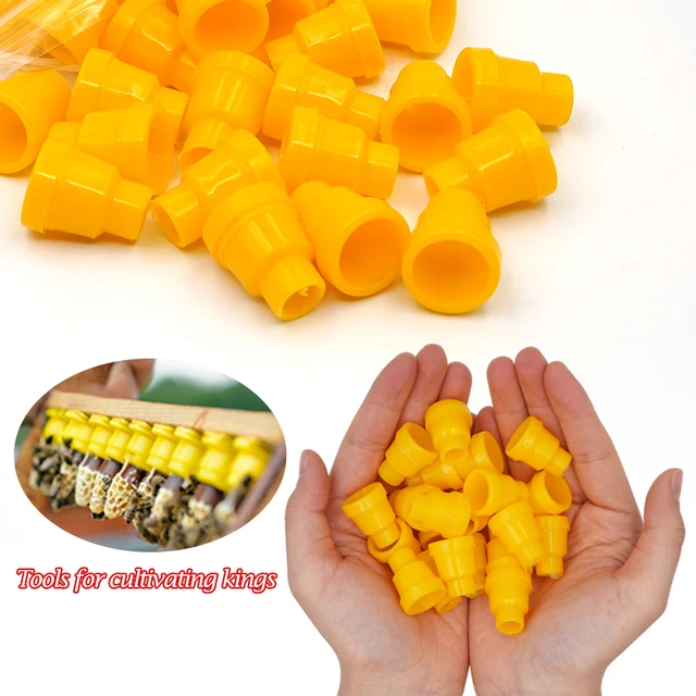 Bee Queen Nevelőkészlet Komplett Jenter Apikulturális Eszközök Méhészeti Doboz Ketrec Tartó Műanyag Cellák Méh Tenyésztési Rendszer 1Set - Image 4