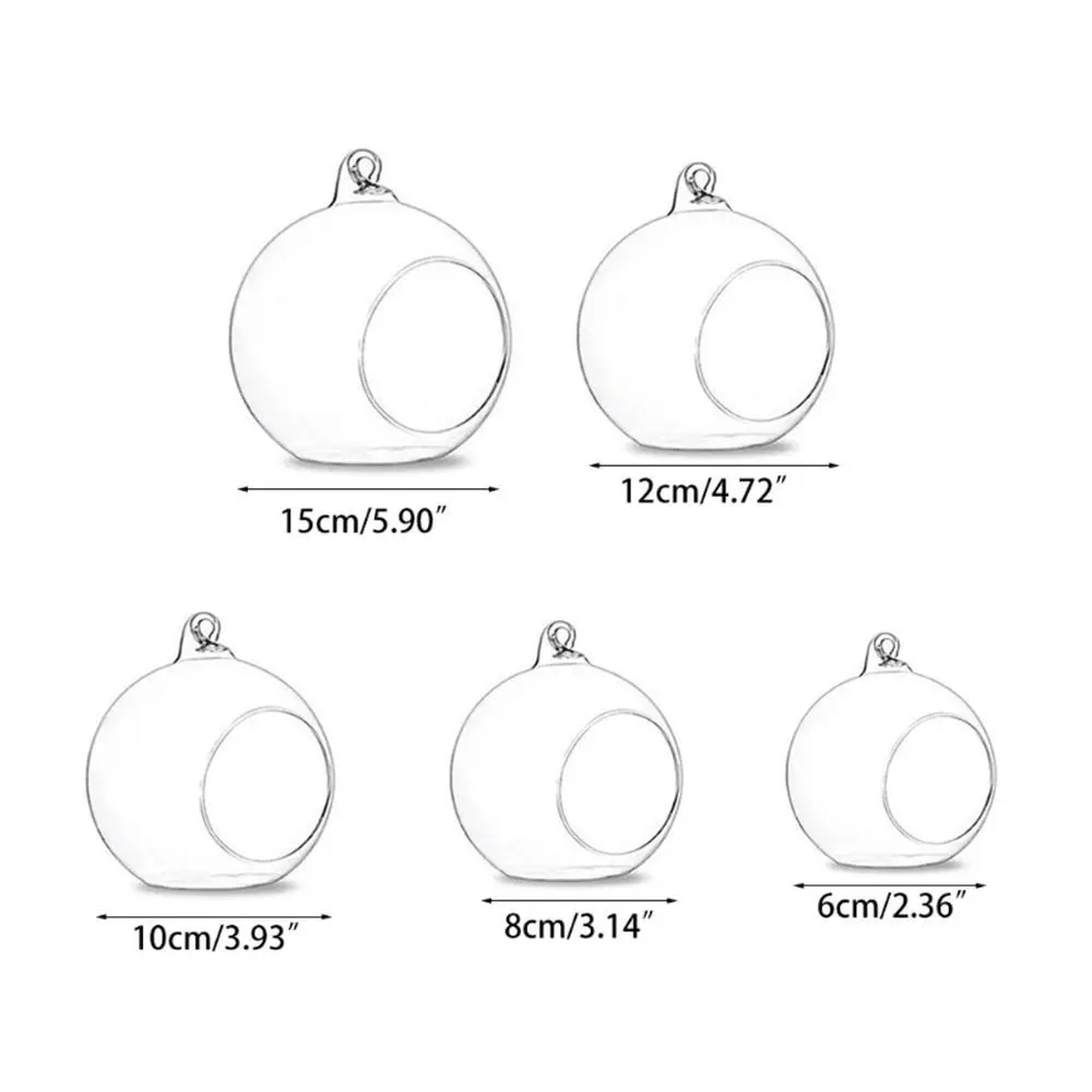 Transparent Hanging Glass Vases Ball Clear Hanging Tealight Holder 6/8/10/12/15cm Borosilicate Glass Glass Planter Moss 6