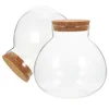2Pcs Glass Terrarium Ecological Bottle Plant Vase Desktop MicroLandscape Bottle Transparent Glass Moss Crafts Mini Landscape 5