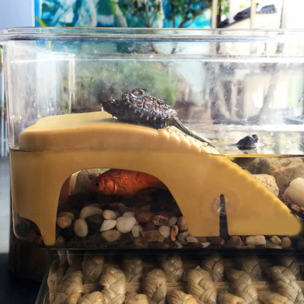 Double Track Reptile Platform Adjustable with Suction Cups Turtle Basking Table Plastic Turtle Climbing Platform Fish Tanks