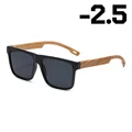 Myopia-2.5