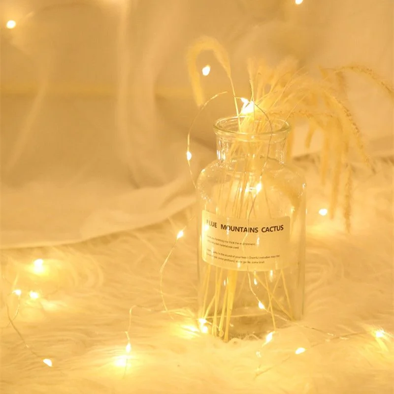 

Wedding Decoration LED Holiday Light Copper Wire Lamp Garland Fairy Light Party Christmas Garden Decor String Light Home Decor