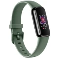 Avocado green