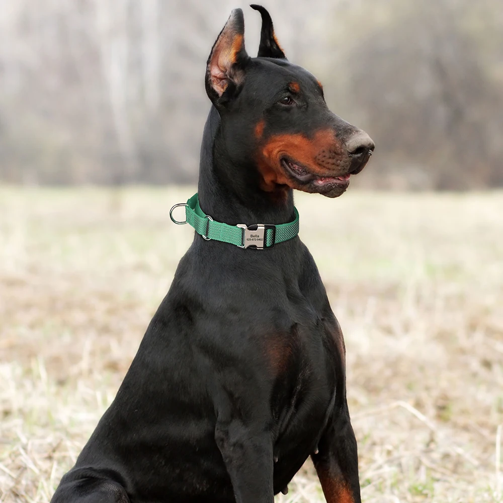 Custom Martingale Dog Collar 5