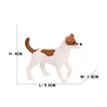 Jack Russell Terrier