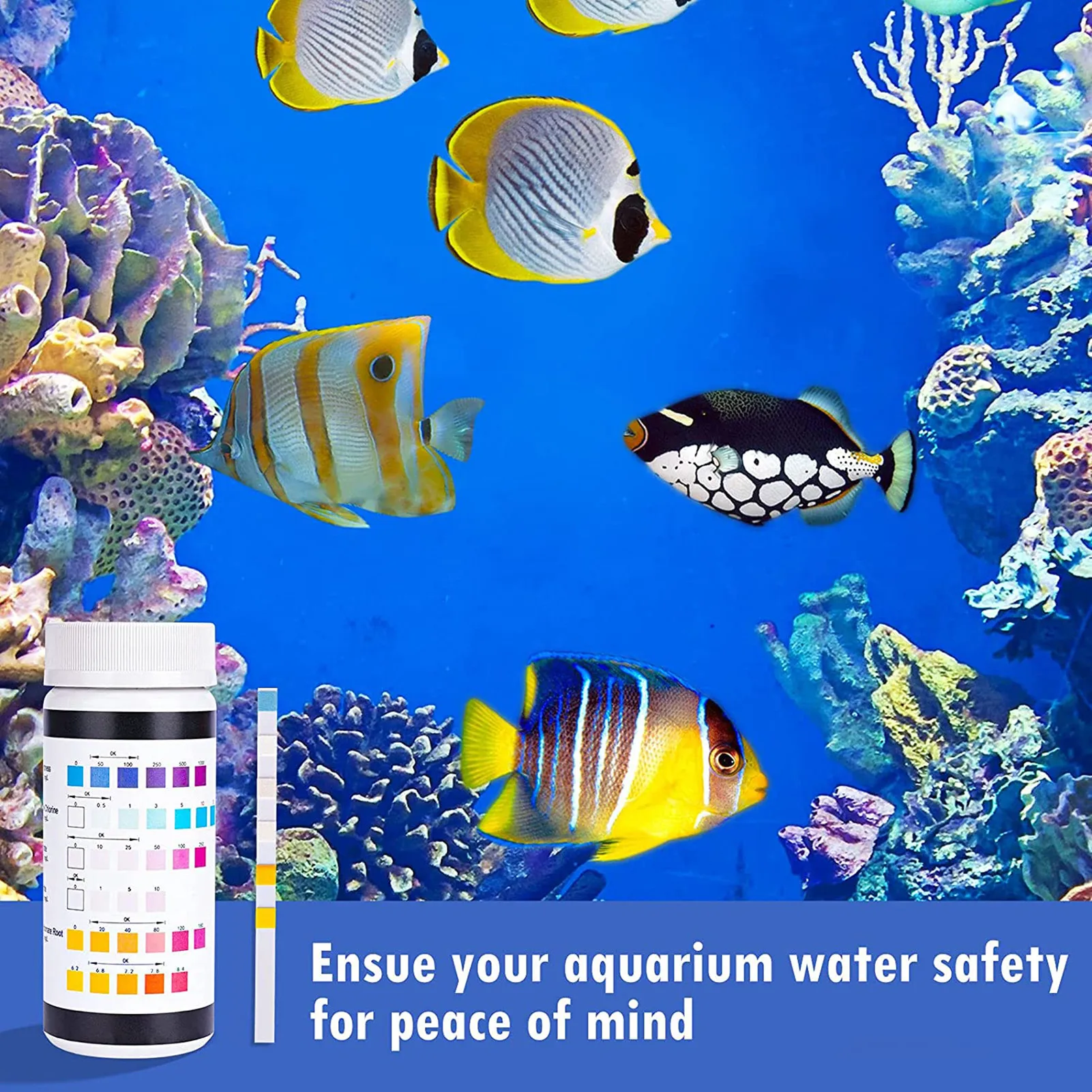 

Water Quality Test Strips 6-in-1 Drinking Water Test Strips For Faucets50 Strips Acid Water Hardness Test Strips For Swimming