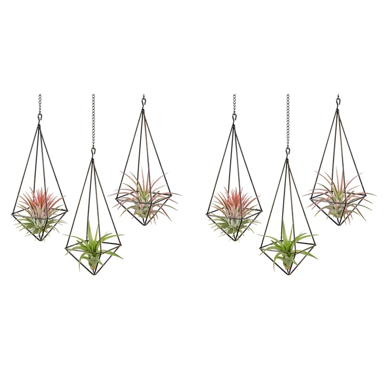 

6 Pack Hanging Air Plant Holder Geometric Planter Air Plant Rack Tillandsia Hanger With Chain For Home Decor