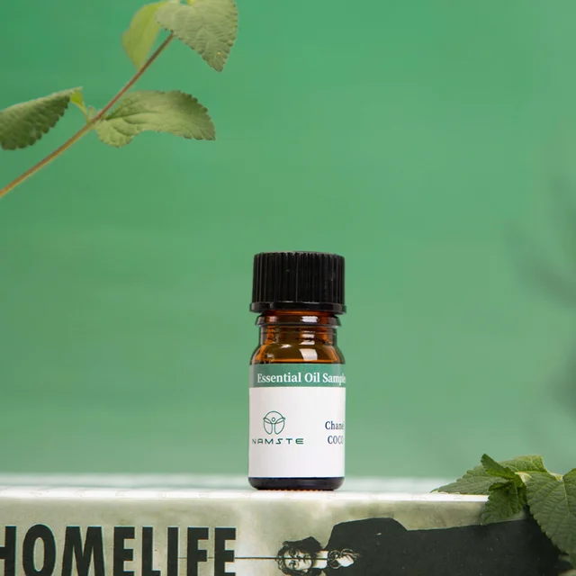 NAMSTE Diiffuser Essential Oil 5ML Aromatherapy Scent Diffuser Oil Fragrance Oil Diffuser For Home Hotel Office Air Freshener 2