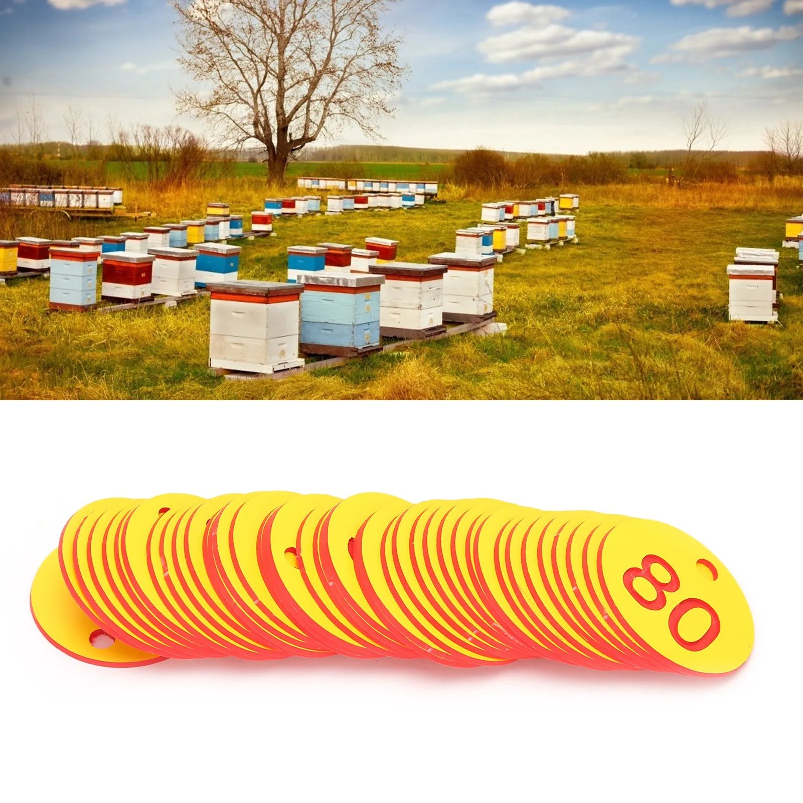 Beekeeping Tools Beekeeping Accessories 1-100 Beehive Tags ABS Round Numbered Sign Labels with Hole Livestock Accessory Beehive Mark Board Tag