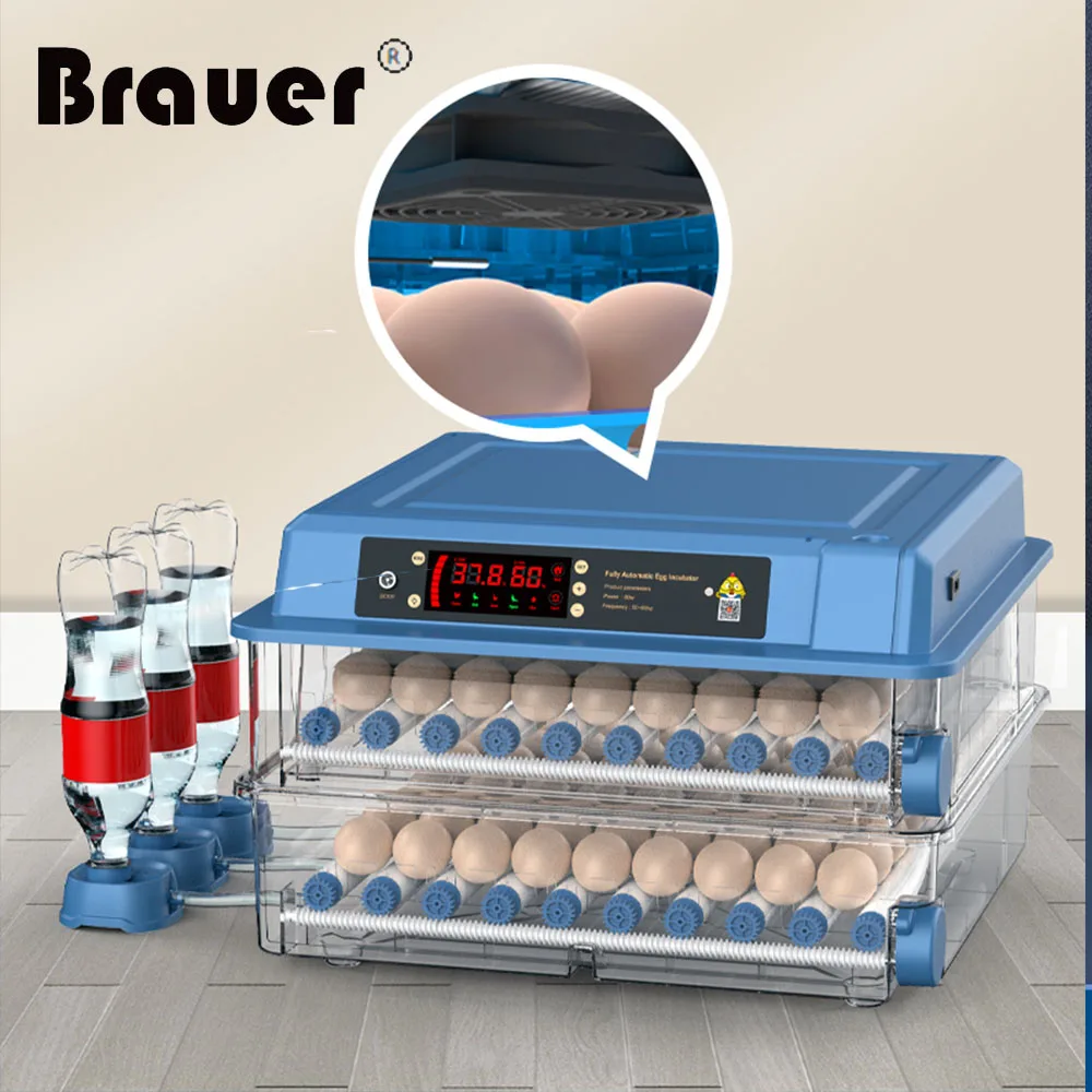 36 Eggs Incubator With Drawer Type Mini Egg Incubator With Automatic Water Ionic Waterbed Replenishment And Temperature Control Egg Incubator