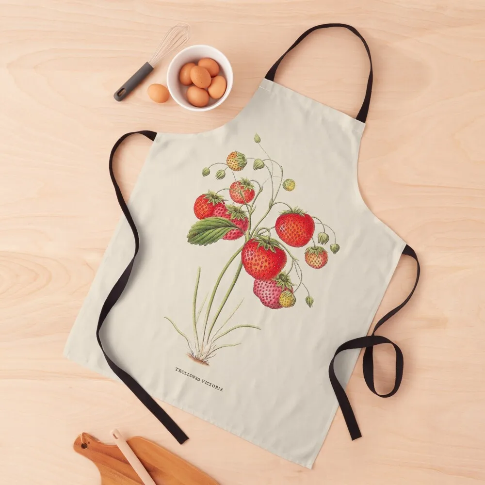 

Strawberry Antique Botanical Illustration Apron For Girl Kitchen New 2022 Year Household Items cook wear Apron