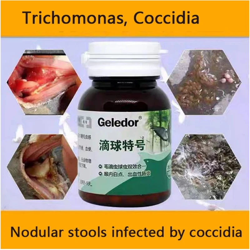 트리코모나스 비둘기 콕시디아, 결절성 대변, 소화장애 100 알약, 투인원 감염 