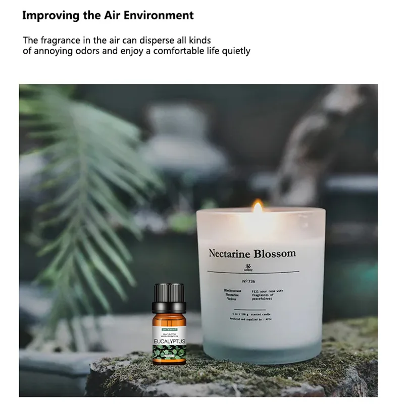10ml*6PCS Water-soluble Essential Oil for Aromatherapy 100% Pure Nature Perfume Oil for Aromatherapy Diffusers Lavender Lemon