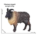 Tibetan Argali
