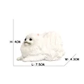 Pomeranian 2