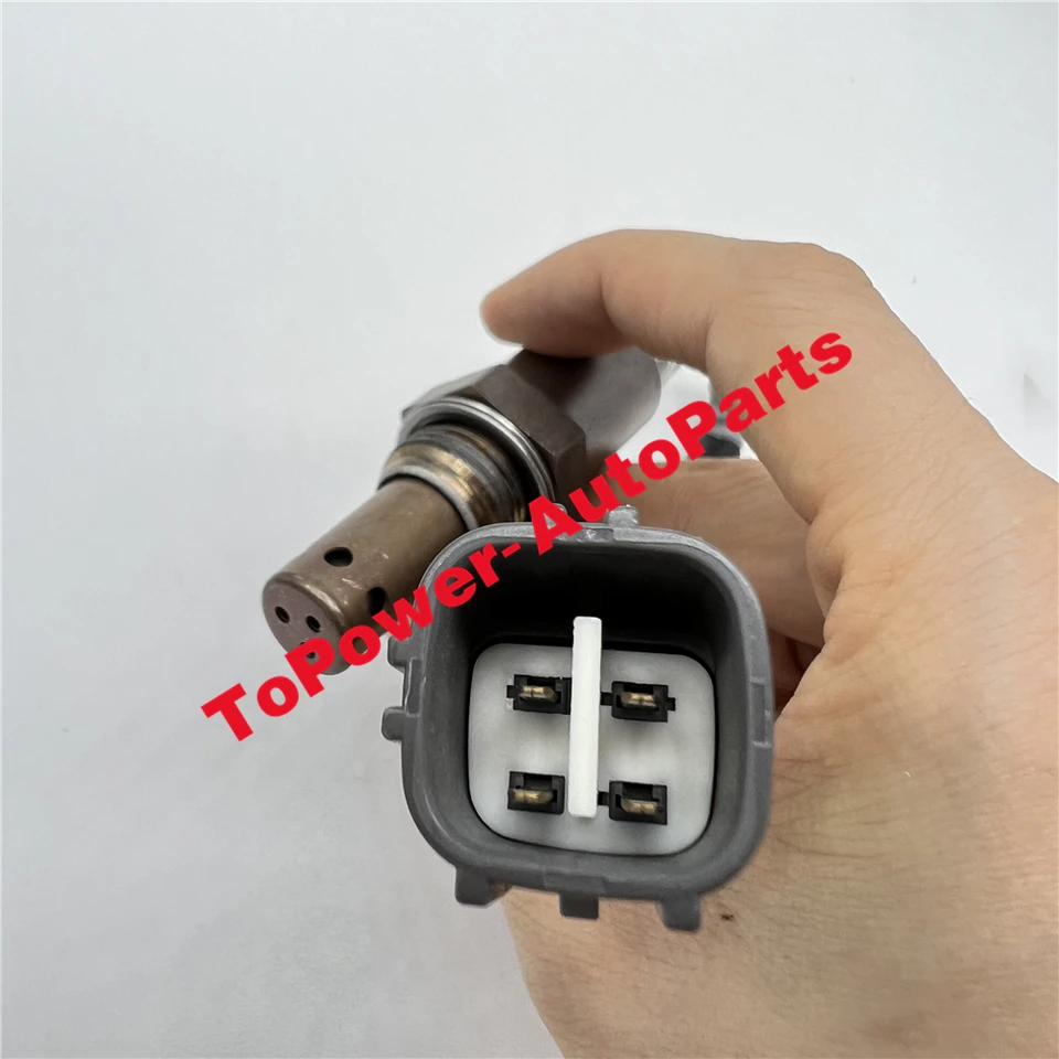 ほぼ未使用 LazyDoge TU60 Stray dog on X