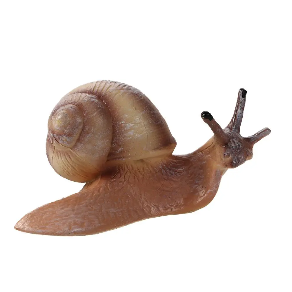 Realistic Early Educational Kids Cognitive Snail Growth Cycle Life Cycle Figures Cycle Mantis Figurine Praying Mantis Toy