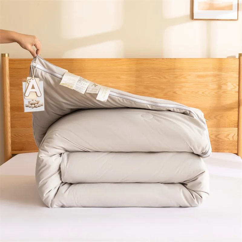 Summer Quilt Bed Comforter Silk Quilt Natural Mulberry Silk Comforter Summer Winter Thin Thick Four Seasons Bedding Quilt Single Double Cotton Hotel Blanket Duvet