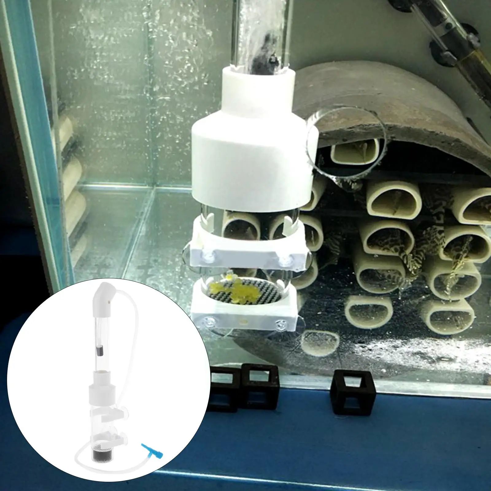 Acrylic Aquarium Egg Incubator 50mm Mouth Ornamental Fish Eggs Hatching Equipment