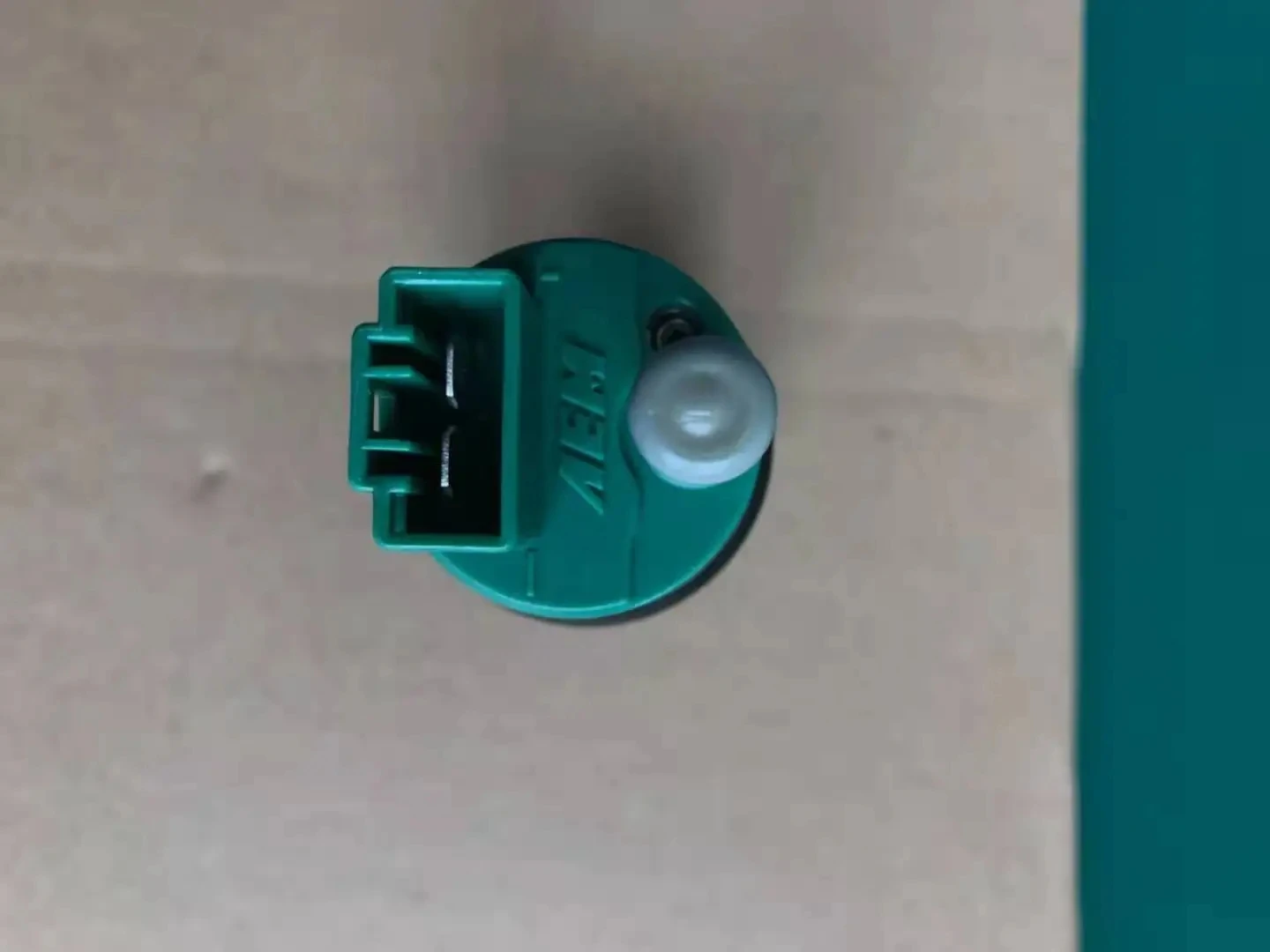 thumb