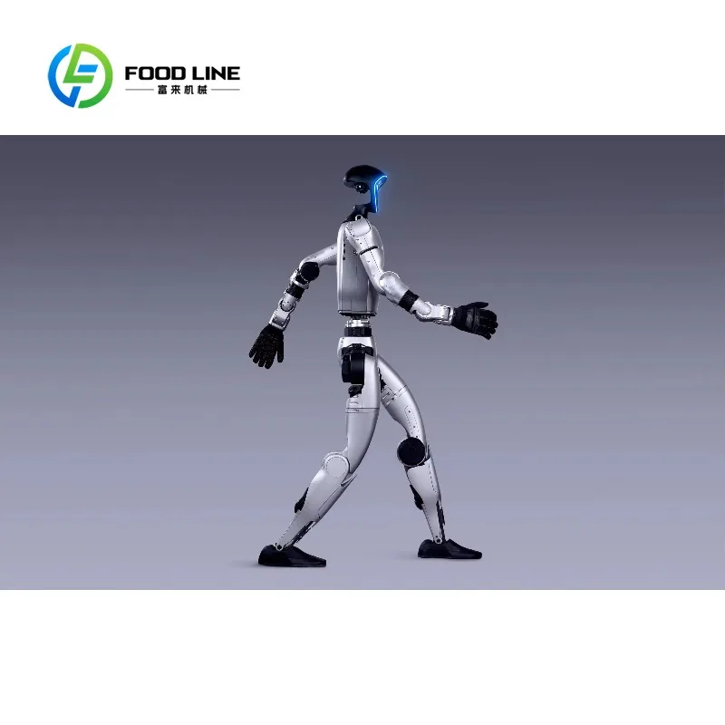 Robot Umanoide Bipede Personalizzato con Controllo Avanzato del Movimento per Applicazioni di Boxe e Intrattenimento Interattivo - immagine 3