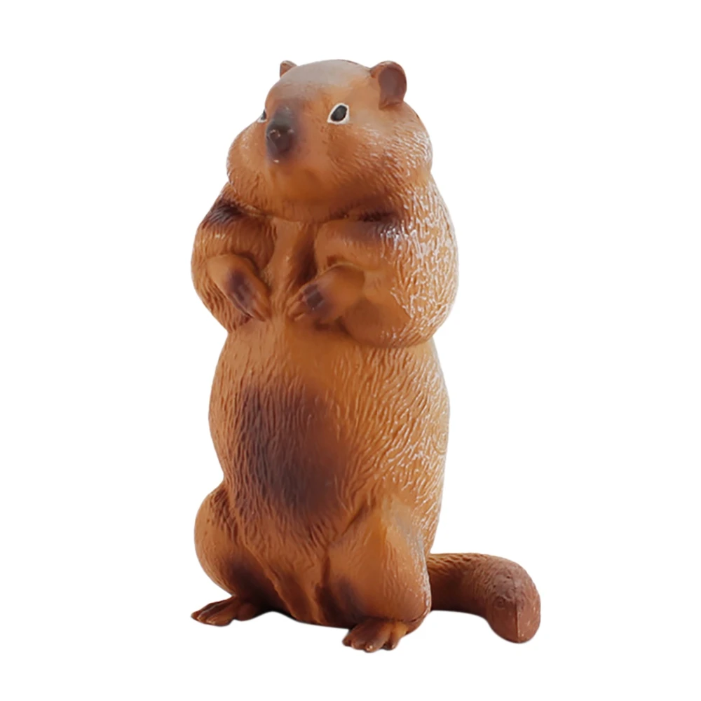 시뮬레이션 숲 야생 동물 솔리드 모델 Groundhog 데스크탑 장식품 조기 교육인지 장난감 어린이 선물