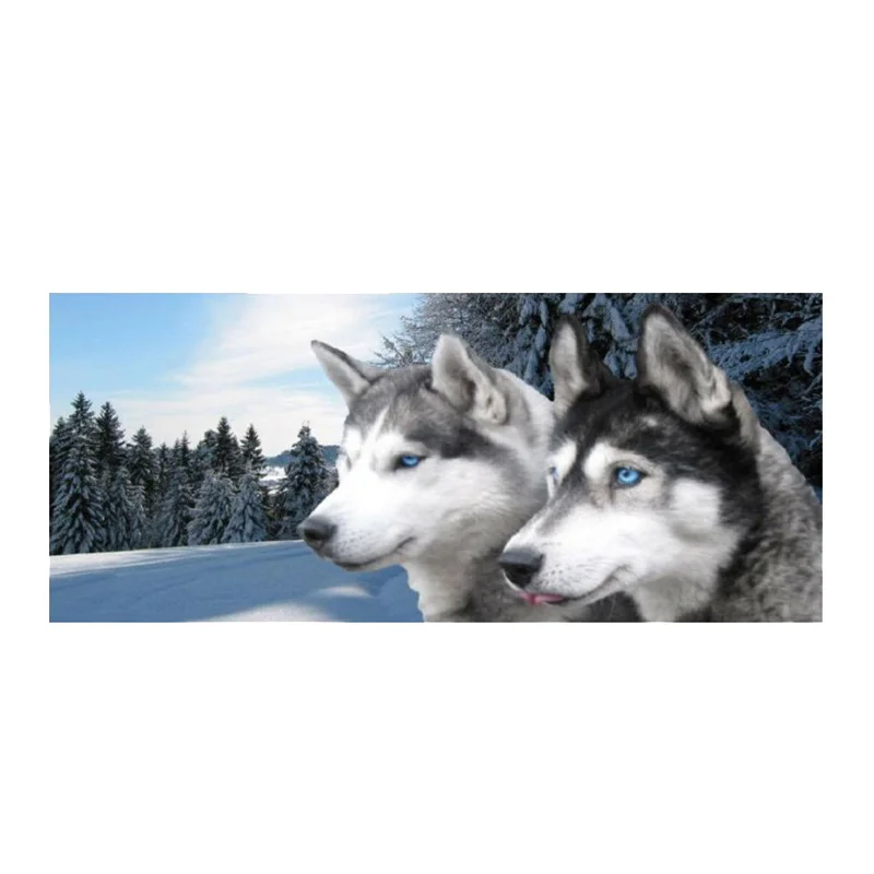 

Чехол для смартфона Wolf, 57,9x18,1 дюйма