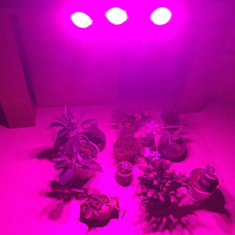 Description Picture 2 of item3 Head 36 54 72 LED  plant flower lamp growing light for indoor green house tent growbox hydro flower room growing lights U26