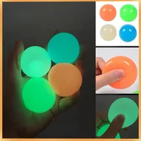 Indoor Luminous Throwing Ball 1