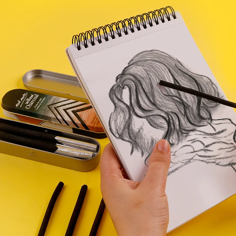 10pcs Iron Box Sketching Solid Core Charcoal Strip Art Student Sketching Soft Medium Hard Willow Wood Charcoal Pencils
