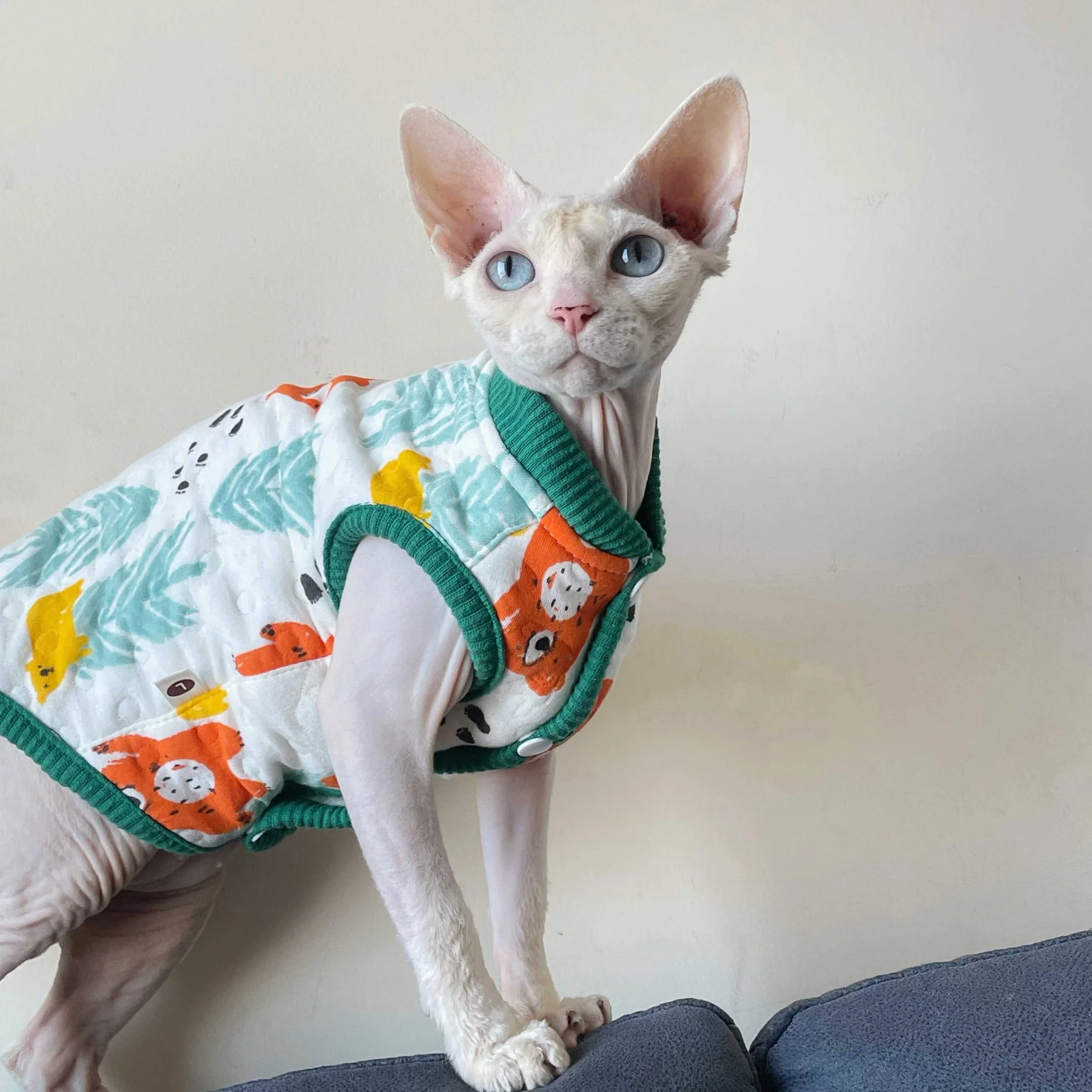 스핑크스 고양이용 부드러운 면 조끼, 새끼 고양이용 겨울 따뜻한 가디건, 가을 데본 렉스용 귀여운 민소매 코트, 면 패딩 처리