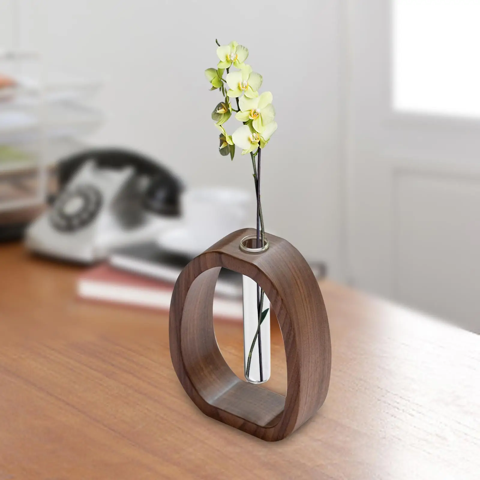 Test Tube Vase with Wooden Stand Creative Modern Decorative Glass Planter Bud Vase for Living Room Tabletop Desk Bedroom Indoor