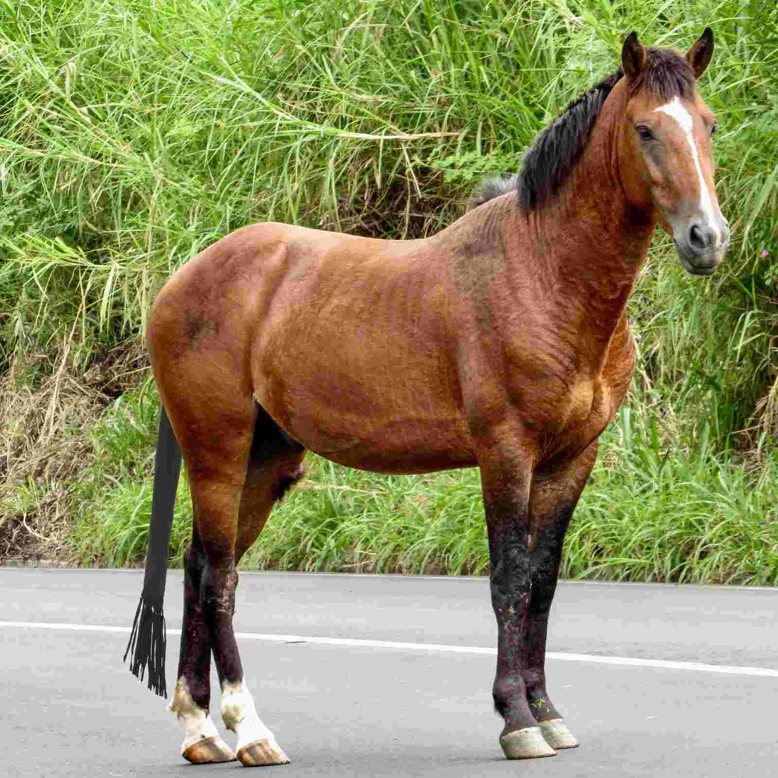 Рисунок 3 - Декоративная Сумка для конского хвоста