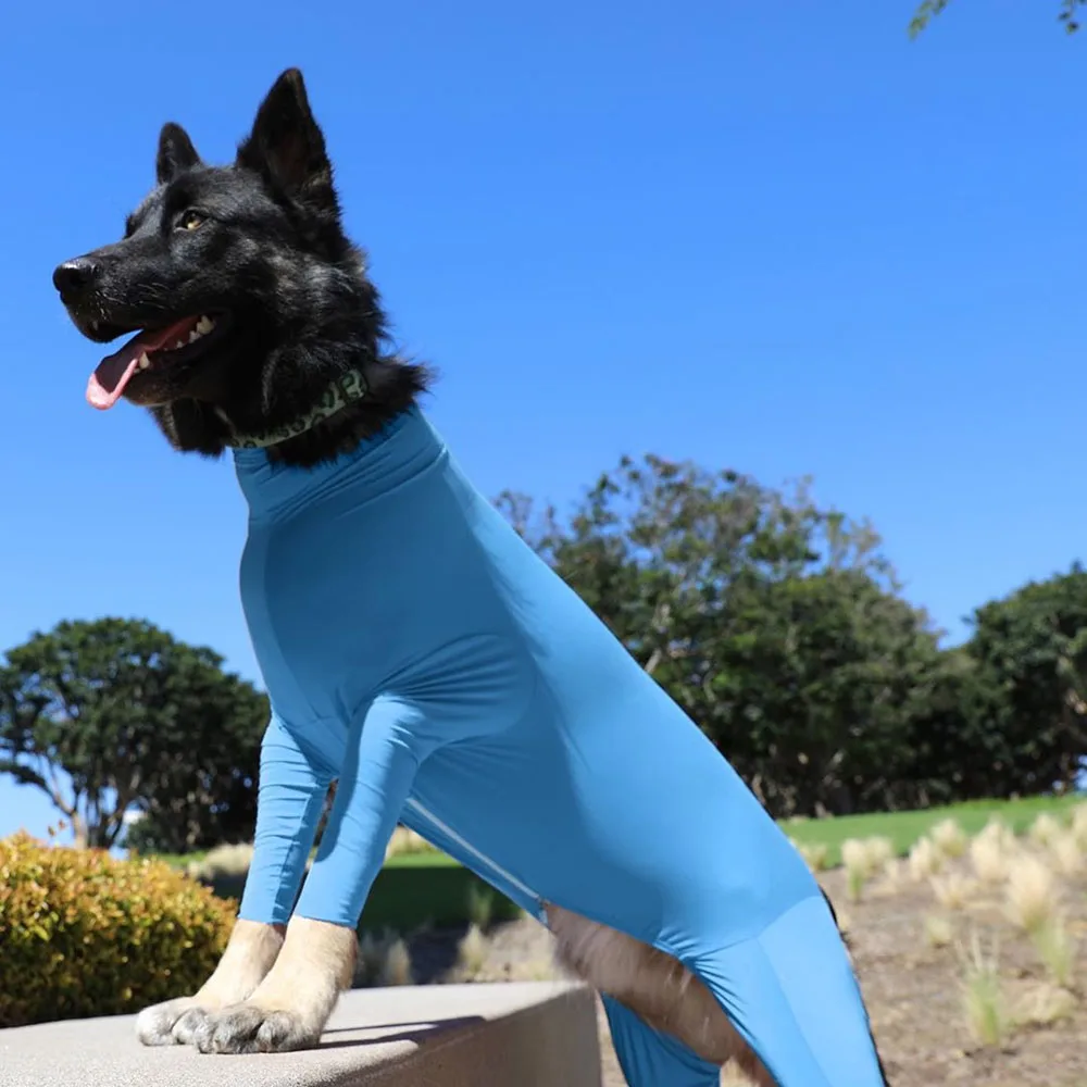 Mono para perro después de la cirugía, traje de recuperación quirúrgica para mascotas, traje anticaída para mujer y hombre, pijama de manga larga con piernas 3