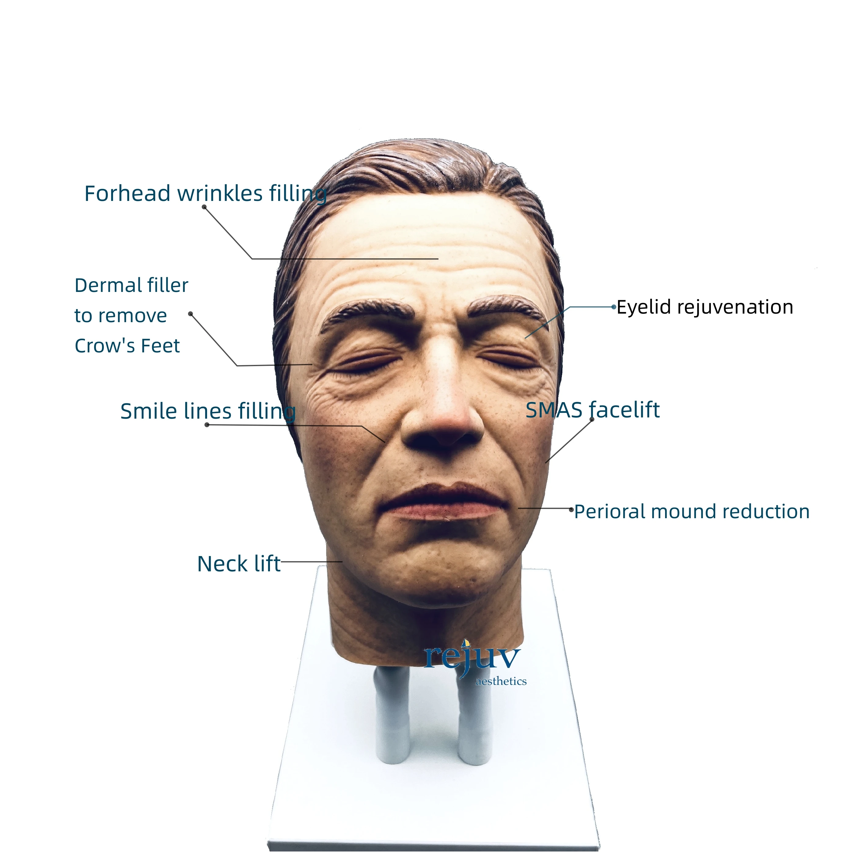 Male Realistic Injection Mannequin Face Training Model Training Head for Facial Injections Light Skin with Masculine Features 3