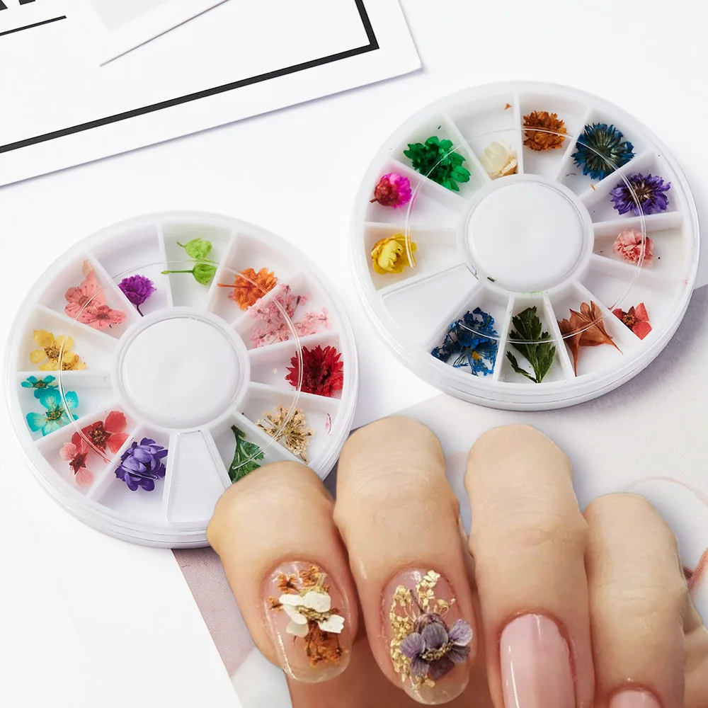 12 Style 3d Dried Flower Nail Charms Set Real Dry Sakura Nails Art