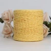 100g/Ball Raffia Yarn Kintting Paper Straw Yarn for Crocheting Hat Fancy Yarn Flower Packing Summer Fashion Handmade Material 6