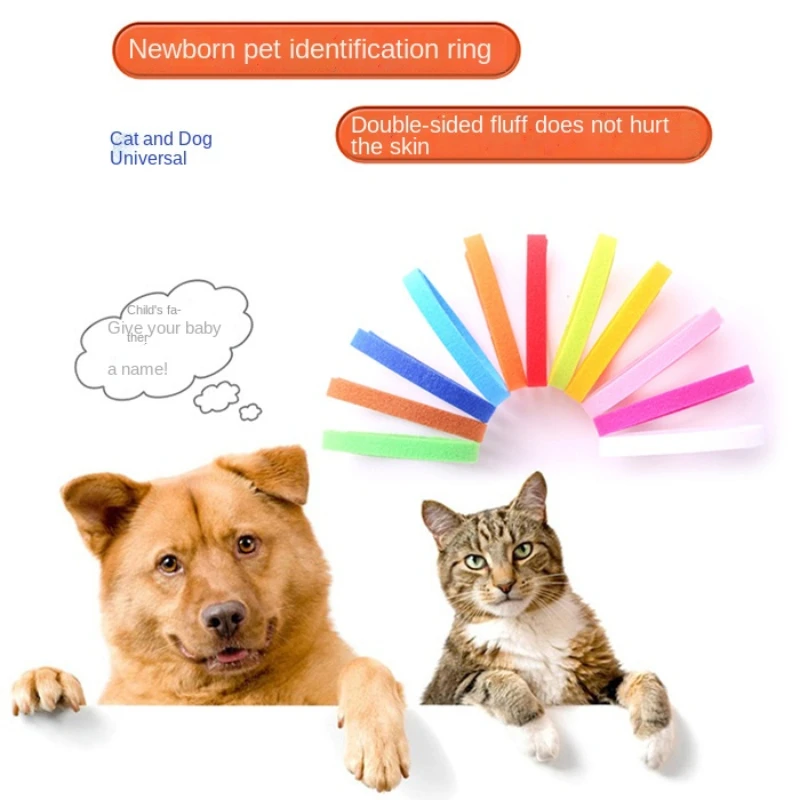 12pcs Pet Collars Dog Cat Hook and Loop Identification Collar Kitten Puppy Id Classification Dog Accessories for Small Dogs pet collar